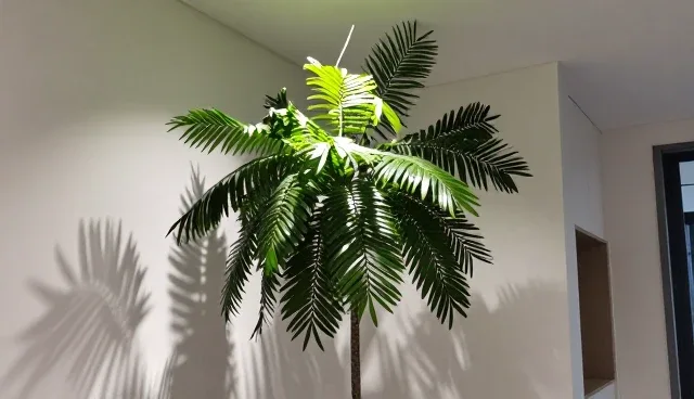 健康检查选型需关注的五大要点